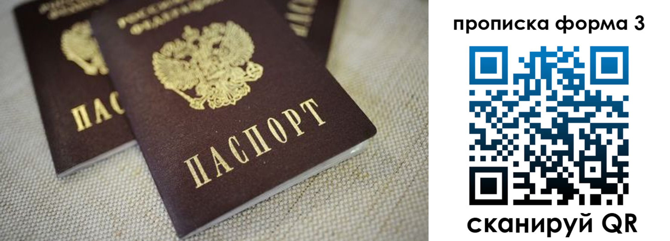 прописка поиск в Почепе
